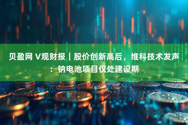 贝盈网 V观财报｜股价创新高后，维科技术发声：钠电池项目仅处建设期